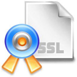 ssl_certificate icon