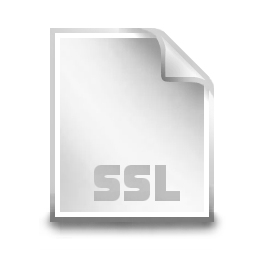 ssl icon