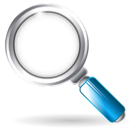 zoom icon