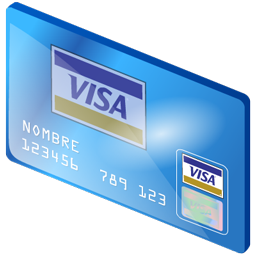 visa icon