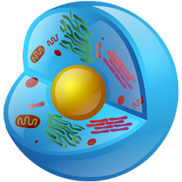biology icon