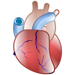 cardiology icon