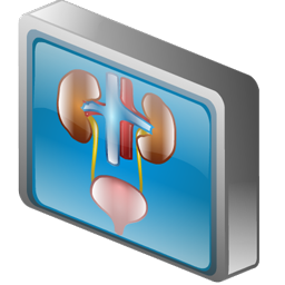urology icon