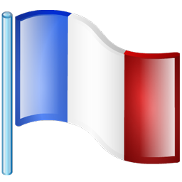 flag_france icon