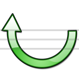 flip icon