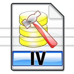 iv_format icon