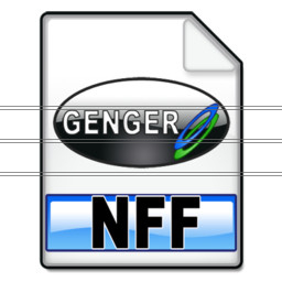 nff_format_b icon