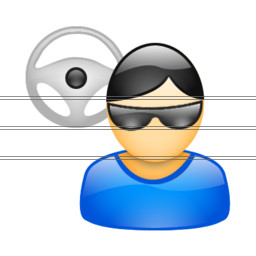 driver icon