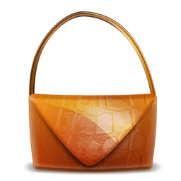 purse icon