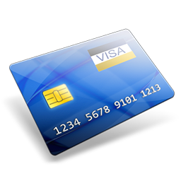 visa icon