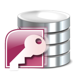 access icon