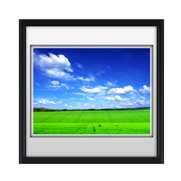 image_field icon