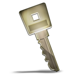 key_primary icon