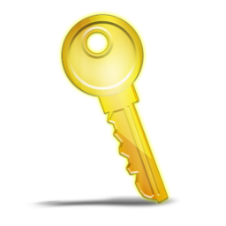 primary_key icon