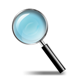 zoom icon