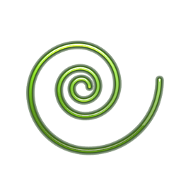 spiral icon
