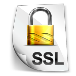 ssl icon