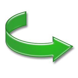 flip icon