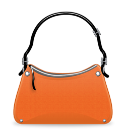 purse icon