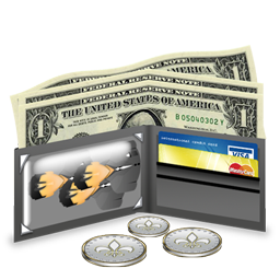 salary icon