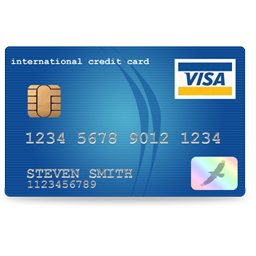 visa icon
