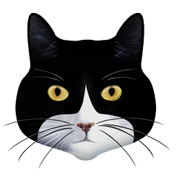 cat icon