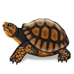 turtle icon