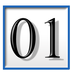 binary_field icon