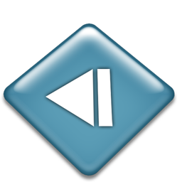 first icon