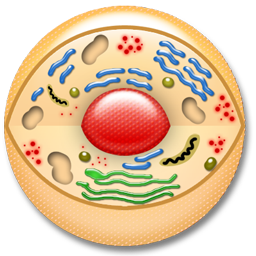 biology icon