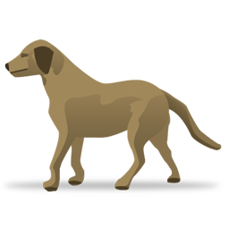 veterinary icon