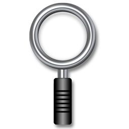 zoom icon