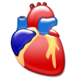 cardiology icon