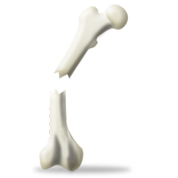 fracture icon