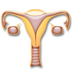gynecology icon