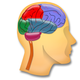 neurology icon