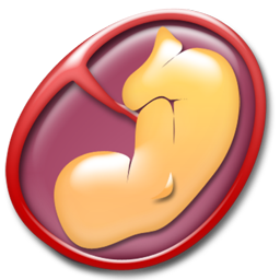 obstetrics icon