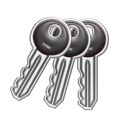keys icon