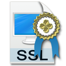 ssl certificate icon