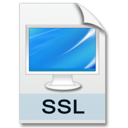 ssl icon