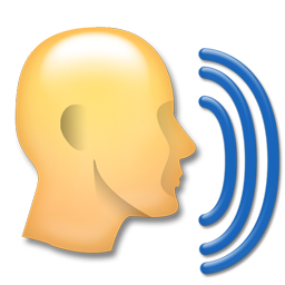 voice icon