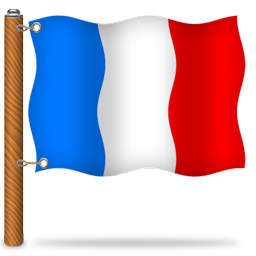 flag_france icon