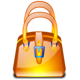 purse icon