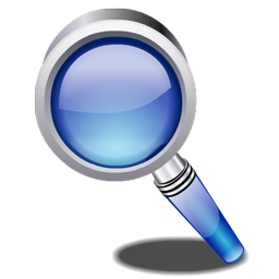 zoom icon