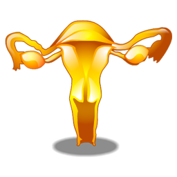 gynecology icon