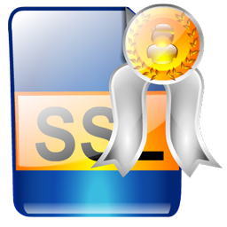 ssl_certificate icon