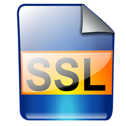 ssl icon