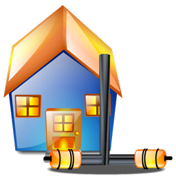 local_network icon