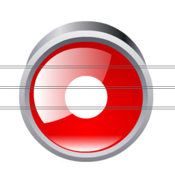 record icon