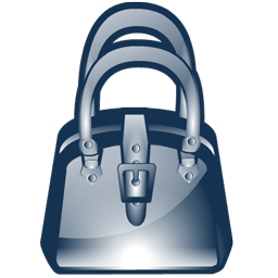 purse icon